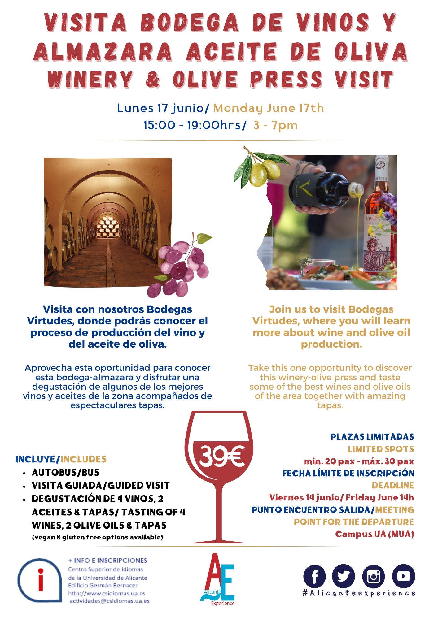 BODEGAS VIRTUDES