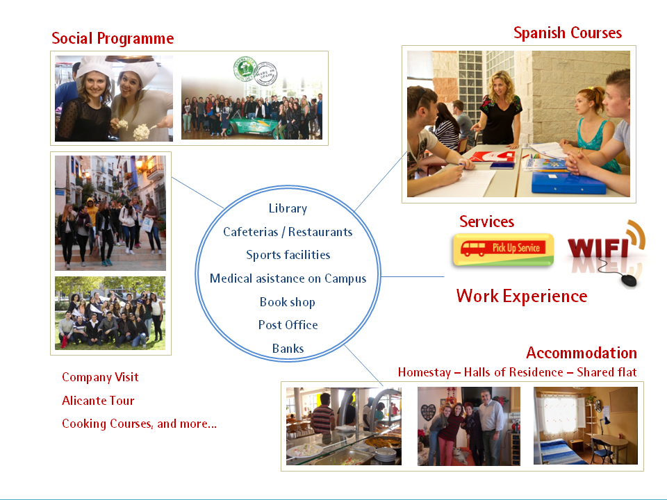 tailor made programme